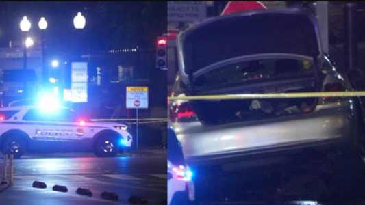 Estrelló su vehículo contra una puerta de la Casa Blanca y murió