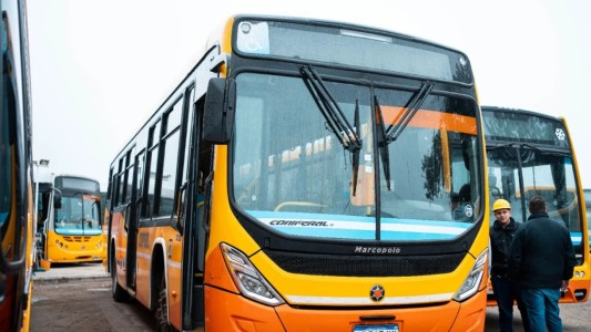 Transporte urbano en Córdoba: se incorporan 12 unidades nuevas en la línea 42