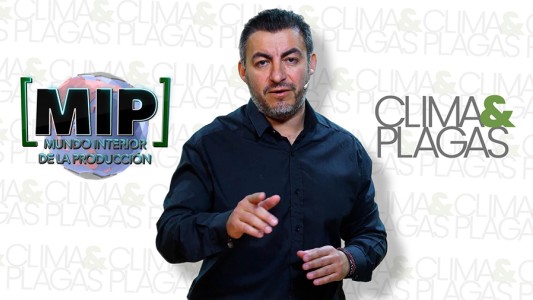 ¿Está vinculado el cambio climatico con la aparición de plagas?