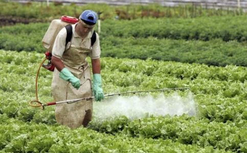 Casación ordenó investigar el uso de agrotóxicos en tierras de pueblos originarios