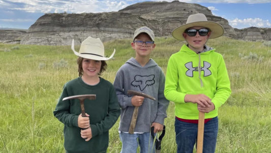 En sus vacaciones, tres chicos encontraron restos de un tiranosaurio
