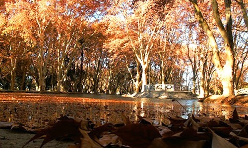 Tiempo en Córdoba: el otoño promete despedirse con temperaturas altas