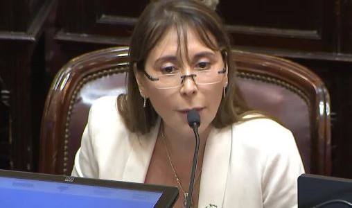 "Enfermo mental": la polémica frase de una senadora kirchnerista contra Milei