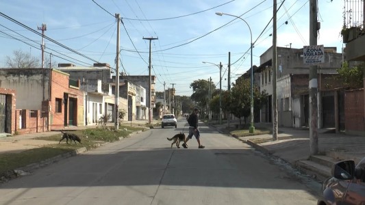 Dos perros saltaron la reja de una casa y mataron al can de una mujer en el barrio Villa 9 de Julio