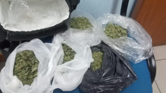 Viajaban en micro con marihuana y hongos alucinógenos para vender