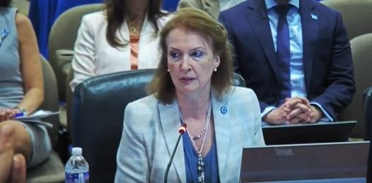 El reclamo de Mondino en la OEA: "Permitan a los asilados salir de Venezuela"