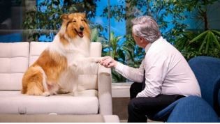 Milei le ofreció a Alberto Fernández adoptar a su perro Dylan