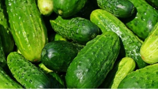 Preocupación por brote de salmonela en Estados Unidos