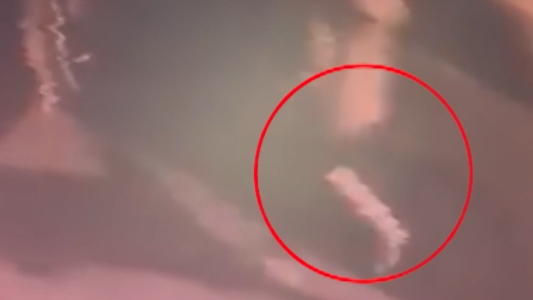 Video: está enyesado, pero igual salió a robar