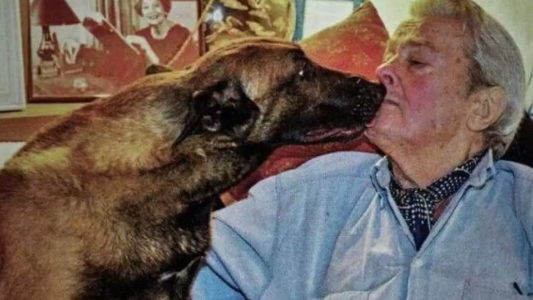 Qué pasará con el perro de Alain Delon: el actor pidió que sea sacrificado para que no muera "de pena"