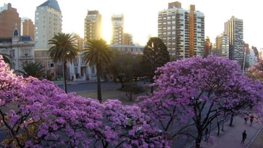 Tiempo en Córdoba: martes primaveral en la ciudad