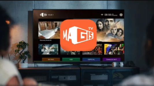 Golpe a la piratería: la Justicia ordenó el bloqueo de Magis TV