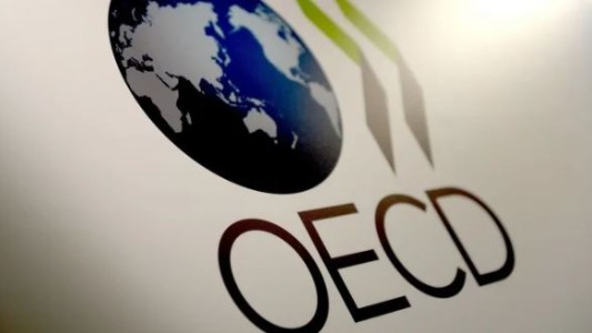 La OCDE prevé una mayor recesión en Argentina este año, pero con un menor nivel de inflación