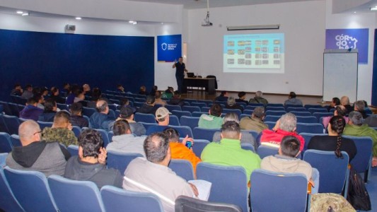 Será obligatorio realizar un curso de seguridad vial para la licencia de conducir profesional