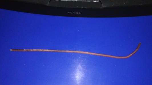 Detuvieron a un naranjita que agredió a un policía durante un control