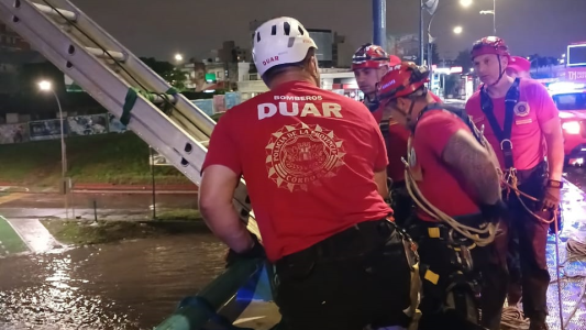 Video: dormía bajo un puente y se despertó en medio de la crecida del río