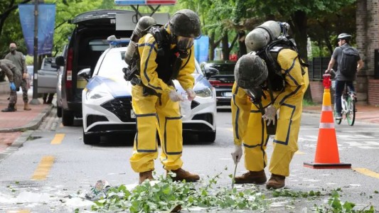 Corea del Norte envió globos con basura y panfletos a Seúl: aterrizaron en el complejo presidencial
