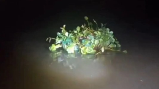 Se disfrazó de camalote para contrabandear 200 paquetes de cigarrillos