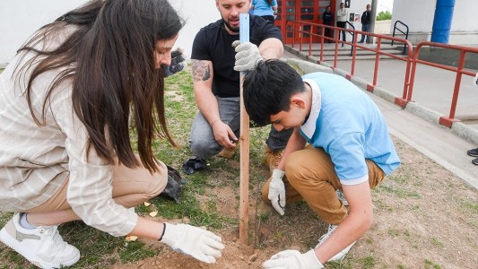 Más de 60 árboles autóctonos fueron plantados en la Escuela ProA Norte
