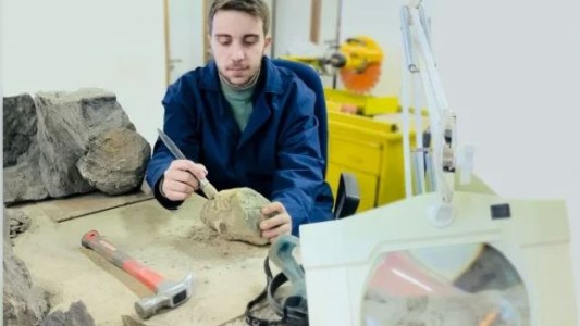 Estudian un reptil marino de gran tamaño hallado en el norte neuquino