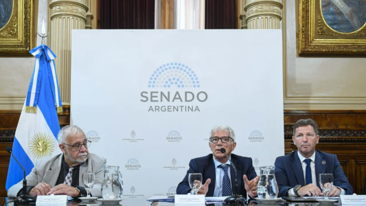 Cúneo Libarona: "Se creó una concepción hipócrita de que la mujer no miente"