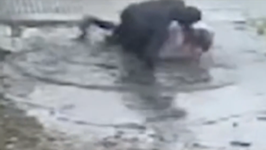 Horror en La Plata: le hundió la cara en un charco para robarle