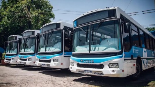 TAMSE presenta 20 nuevos colectivos a GNC para mejorar el transporte público