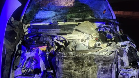 Un patrullero chocó contra dos búfalos en la nueva autovía de Punilla