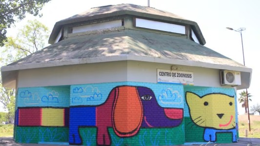 San Francisco alcanzó casi 3 mil castraciones gratuitas de mascotas en 2024