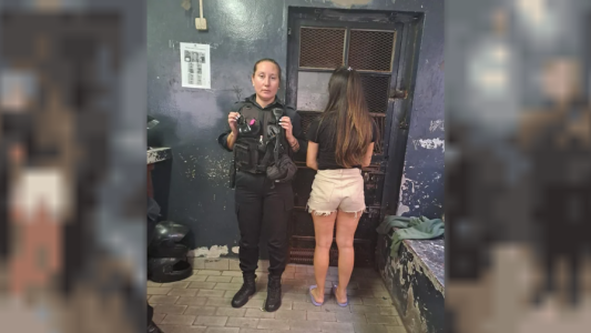 Perro muerto tras quedar encerrado horas en el auto: imputaron a su dueña