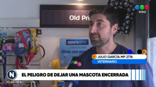 Un perro murió asfixiado: el peligro de dejar mascotas encerradas dentro de un vehículo