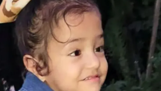 Una nena de 4 años fue asesinada a golpes y detuvieron a su madrastra