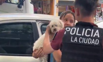 Flores: una mujer dejó a su perro encerrado en el auto y la Policía tuvo que romper una ventanilla para rescatarlo