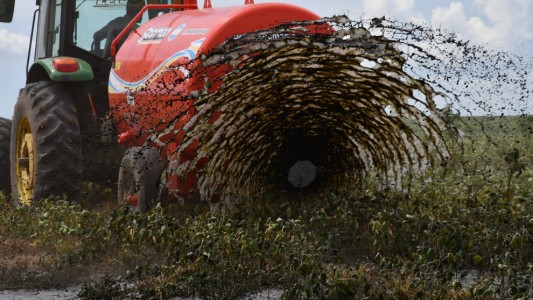 Transformación de Residuos Pecuarios: Innovación para una Producción Sostenible