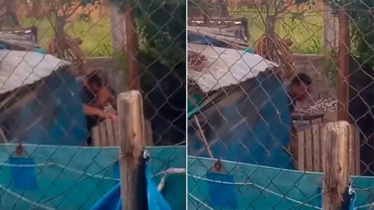 Dos detenidos por matar brutalmente a un perro en Laboulaye: uno es policía