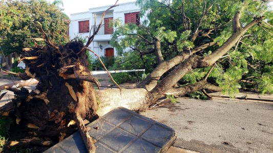 Las consecuencias de las tormentas en Córdoba: árboles caídos, techos volados y calles inundadas