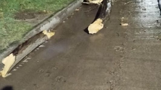 Colonia Caroya: por la fuerte tormenta una rama golpeó a un hombre y falleció