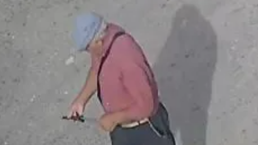 Detuvieron a un hombre de 70 años por matar a un perro de una puñalada