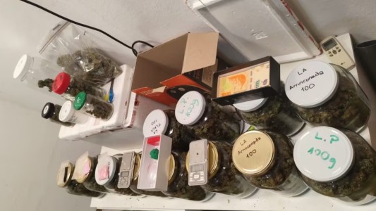 La FPA revisó una casa en General Paz y encontraron un invernadero de marihuana