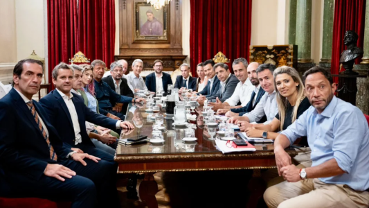 Congreso: la oposición define hoy si vota a favor de una ley para suspender las PASO