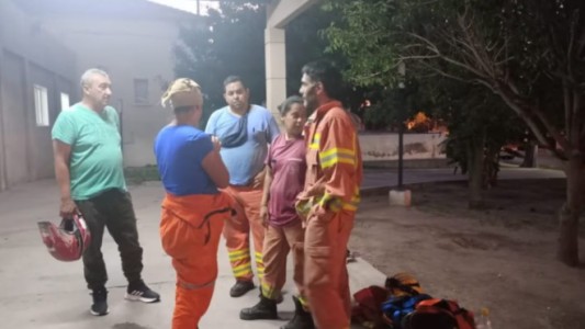 Bomberos fueron atacados por un enjambre de abejas mientras rescataban a una cabra