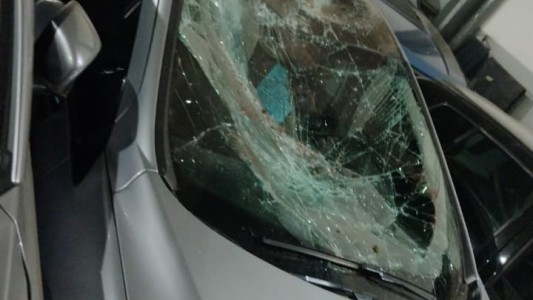 Un hombre quiso rescatar a su gato del techo y terminó cayendo 5 metros