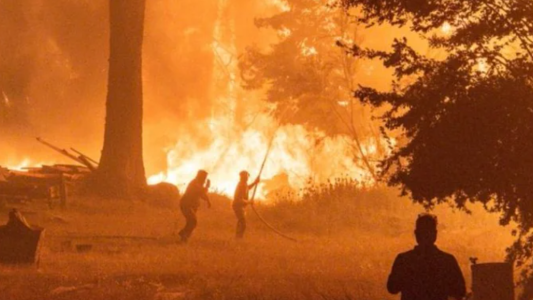 Incendios en la Patagonia: el Gobierno los atribuyó a "terroristas disfrazados de mapuches"