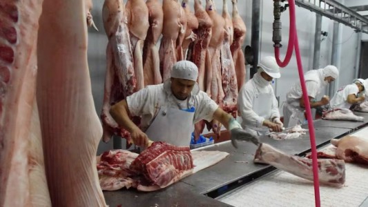 En enero, Córdoba registró un crecimiento en la faena de carne de bovinos y cerdos