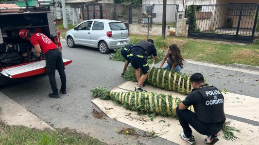 Megaoperativo en Córdoba: detuvieron a 50 personas y se secuestraron drogas y armas