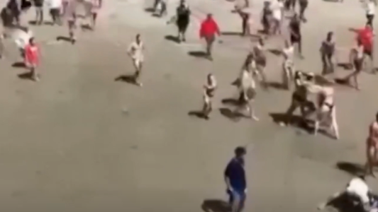 Batalla campal: guardavidas a las piñas tras una competencia en Costa Azul