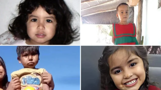 Cuántas veces se activó el Alerta Sofía en la Argentina