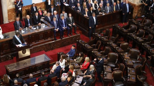 Tras el pedido de Milei, Diputados apura el paso para bajar la edad de imputabilidad