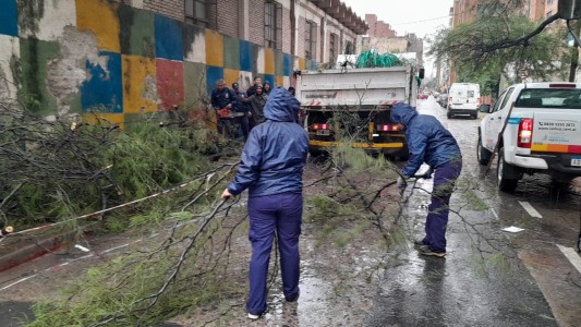 Temporal en Córdoba: más de 50 evacuados, infinidad de árboles caídos y calles anegadas
