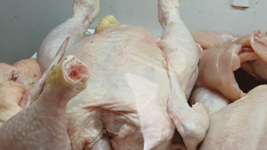 Nuevo aumento en el precio del pollo: dificultades para sostener precios accesibles